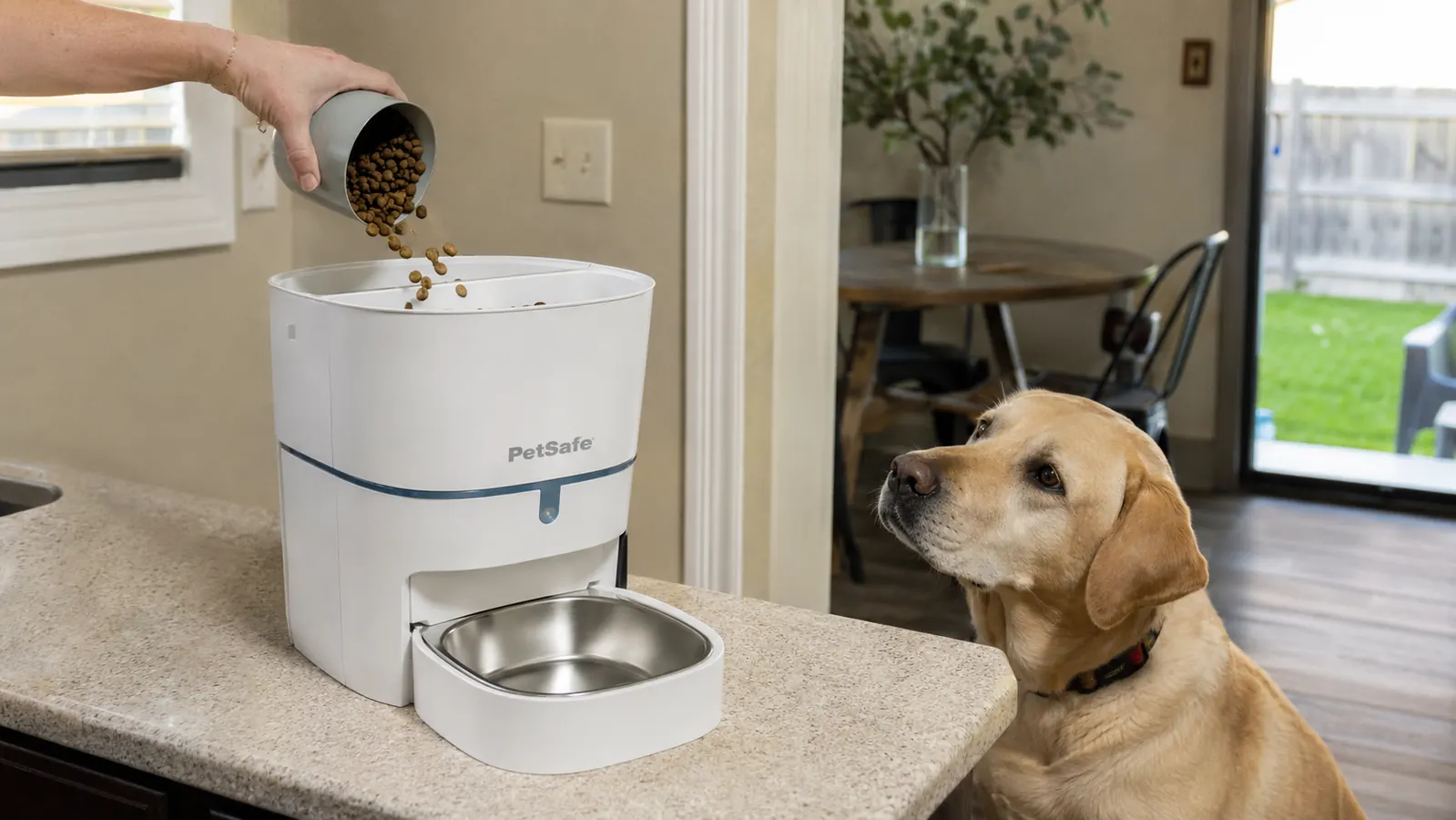 Hand pouring dry dog kibble into the top hopper of a white automatic pet feeder on a kitchen counter