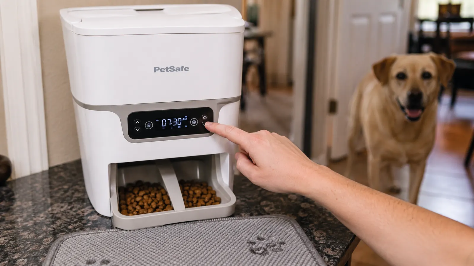 Hand setting a feeding schedule on the digital display of a white automatic pet feeder on a kitchen counter