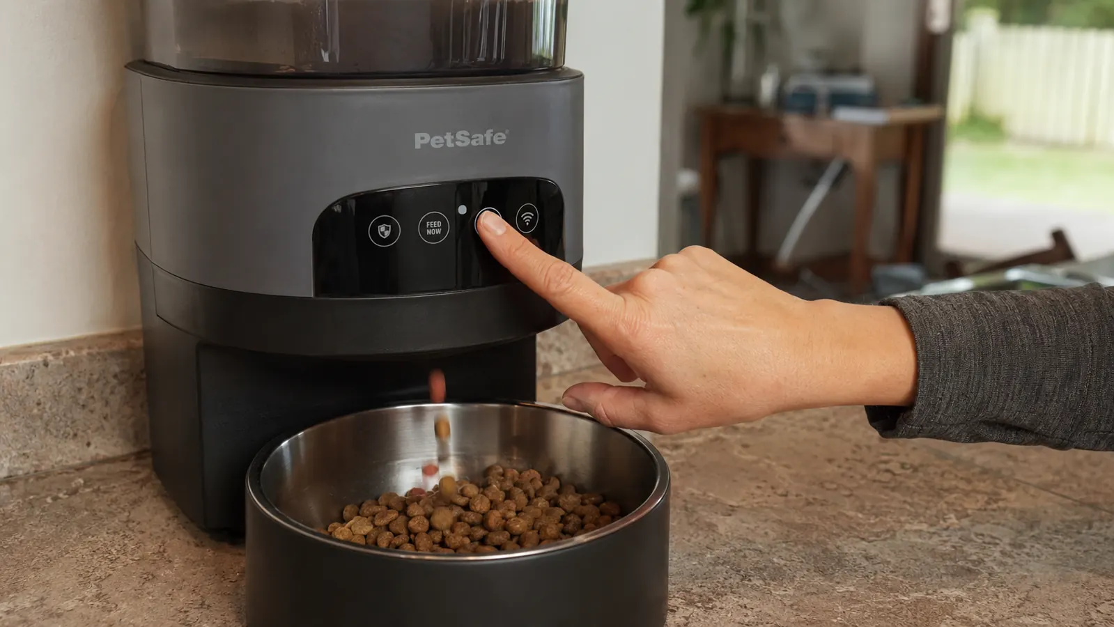 Hand pressing the feed-now button on the PetSafe automatic feeder while dry kibble drops into the bowl