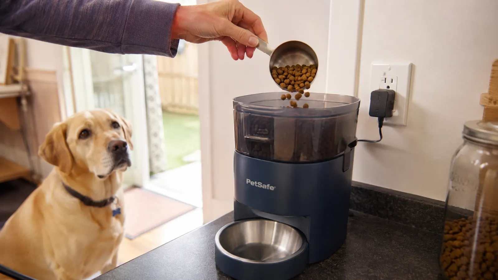 Close-up of a hand loading dry dog food into the top hopper of a PetSafe automatic feeder on a kitchen counter