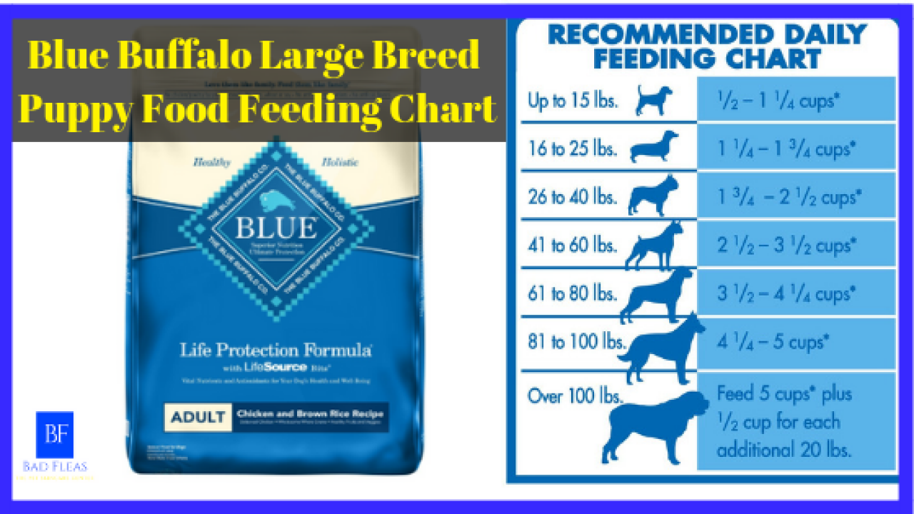 Blue Puppy Food Feeding Chart